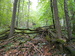 026DSCN9390.jpg