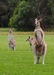 0962CADB-9657-459A-A9A6-3C87CAD89C3C.jpeg