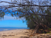 1F9E6A75-3D9A-4752-8F01-FDD48E348E02.png
