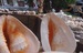 366EDBB7-1FD5-4ECF-84A7-AF9361516208.jpeg