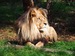 01 ZOO Petra