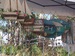 9FAC9122-922D-49D9-8A2D-CFBC36BAE5A1.png