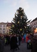 Advent 2015_11_Vánoční strom na Zelňáku.JPG