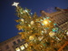 Advent 2015_14_A ještě jednou strom na Svoboďáku.JPG