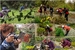 arboretum_fotografky.jpg