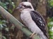 CB6AB525-8426-4E6F-8D4A-EA77B1BBDA9D.png
