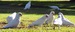 D12E6054-AB22-4B75-A4D3-70B6D8179840.jpeg