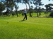 DP4050043.JPG