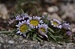 DSC_0179 (2).JPG