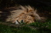 DSC_0619.JPG