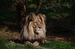 DSC_0624.JPG