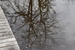DSC_0893.JPG