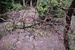 DSC_0906.JPG