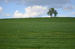 DSC_11.JPG