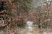 DSC_1883.JPG