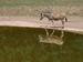 DSC_1974.JPG