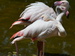 DSC_1994 – kopie.JPG