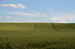 DSC_3559.JPG
