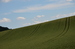 DSC_3562.JPG