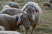 DSC_3582.JPG