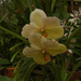 DSC_4912-1.jpg