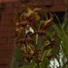 DSC_4915.JPG