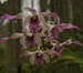 DSC_4916.JPG