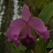 DSC_4919.JPG
