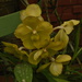 DSC_4921.JPG