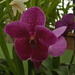 DSC_4934.JPG