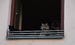 DSC_5124.JPG