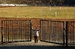 DSC_6888.jpg