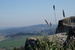 DSC01016.JPG
