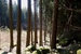 DSC01026.jpg