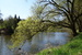 DSC01155.JPG