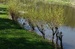 DSC01222d.jpg