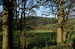 DSC01290a.jpg