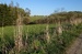 DSC01296a.jpg