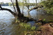 DSC01334.JPG