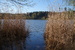 DSC01349.JPG