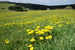 DSC01395.JPG