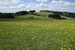 DSC01398.jpg