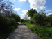 DSC04045.JPG