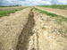 DSCN5976.JPG
