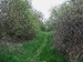 DSCN5981.JPG