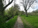 DSCN6003.JPG