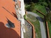 DSCN6818.jpg