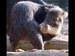 E01D38D0-1679-45EB-8D73-E9E4BA66050B.png