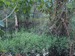 E1408116-BB81-410C-AAB8-9704729C5788.jpeg
