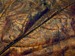 listy_01.jpg